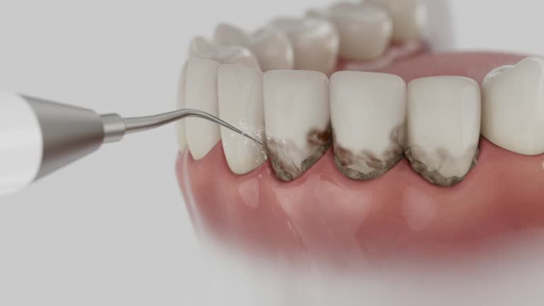 Reliable Emergency Dentist contractor in Prince George County County, VA by Dentist Open Now
